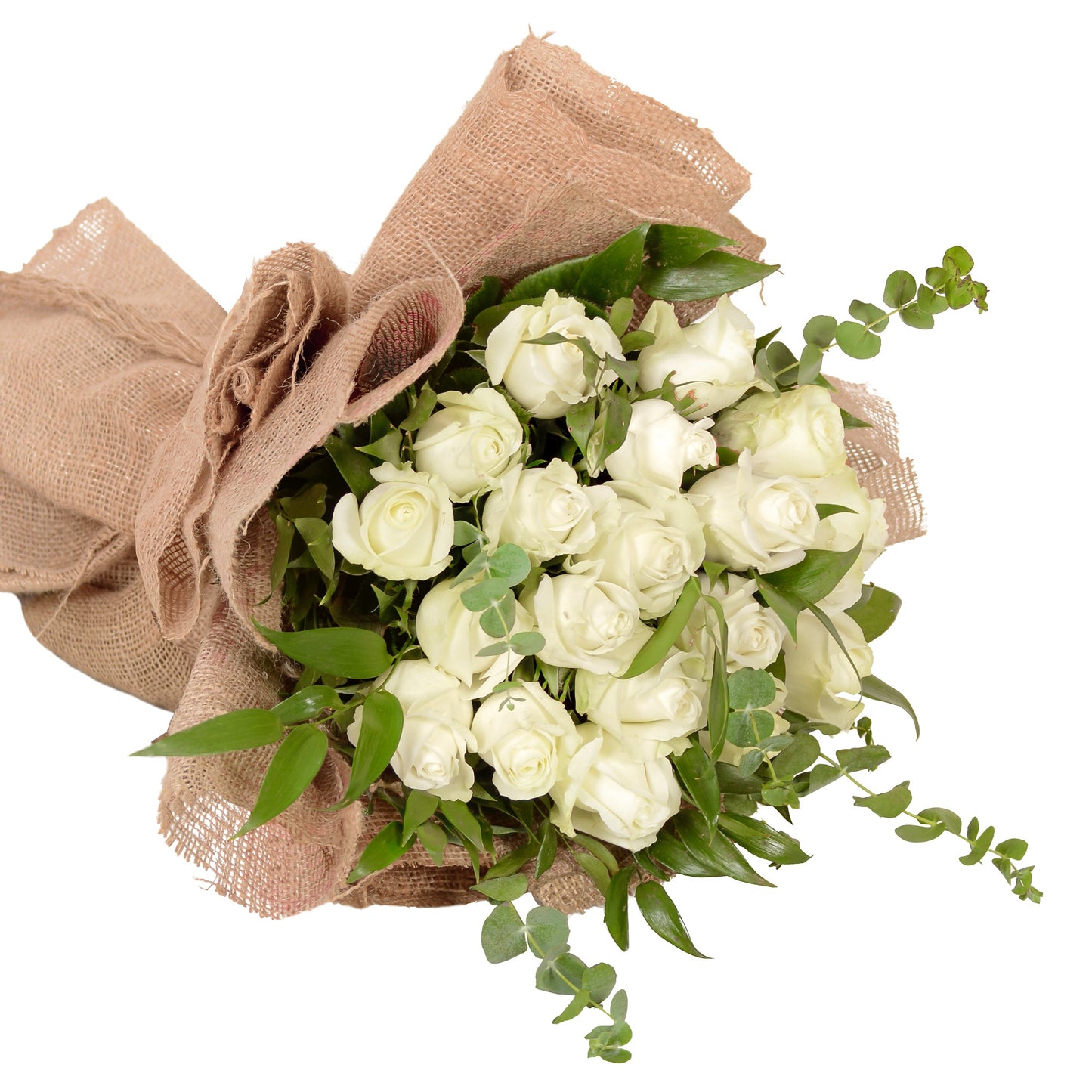 Luxury White