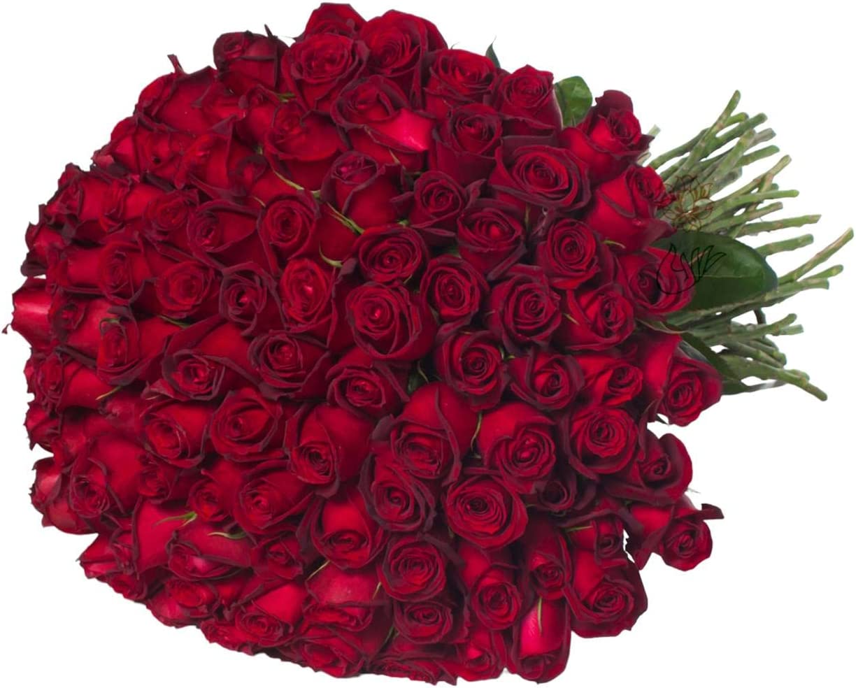 100 Roses For Valentine