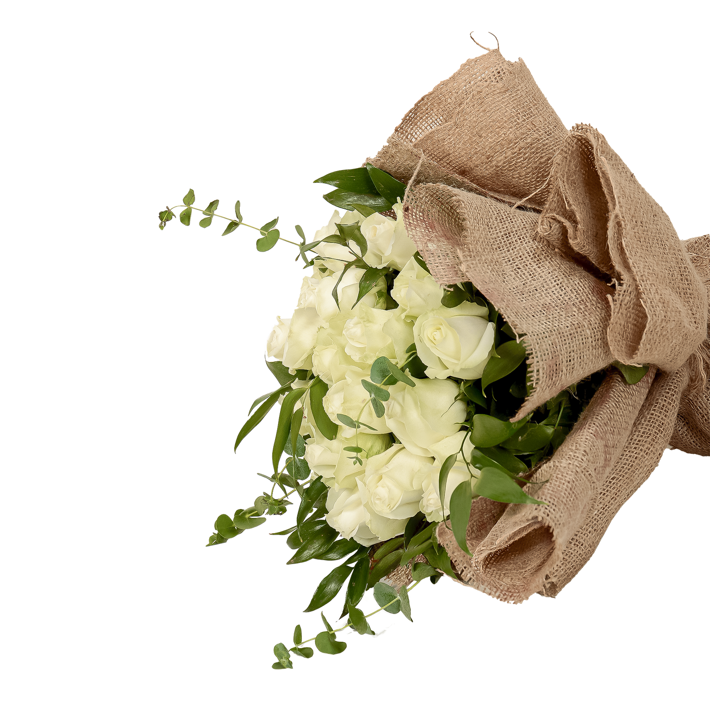 Luxury White