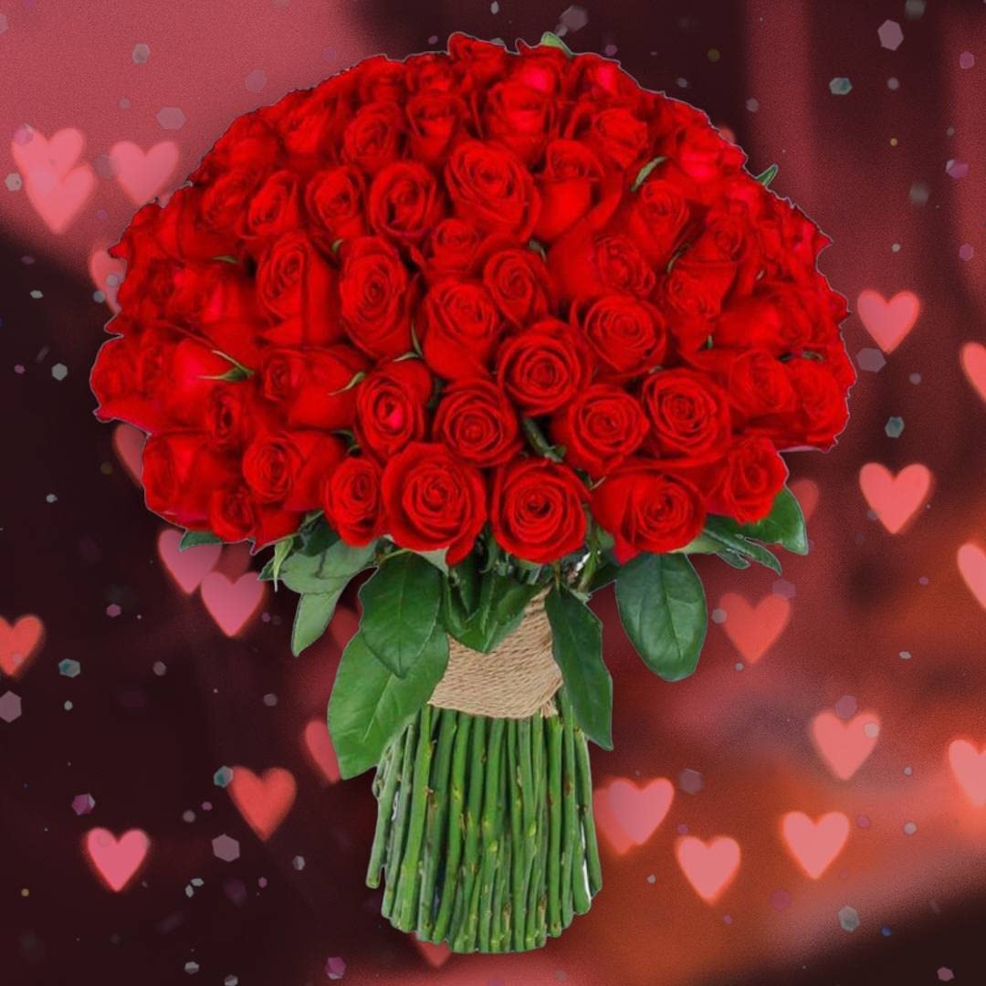 100 Roses For Valentine