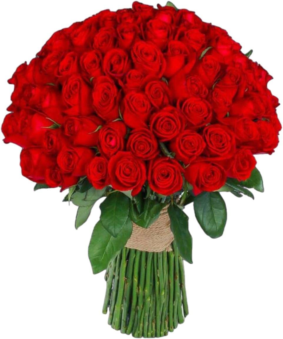 100 Roses For Valentine