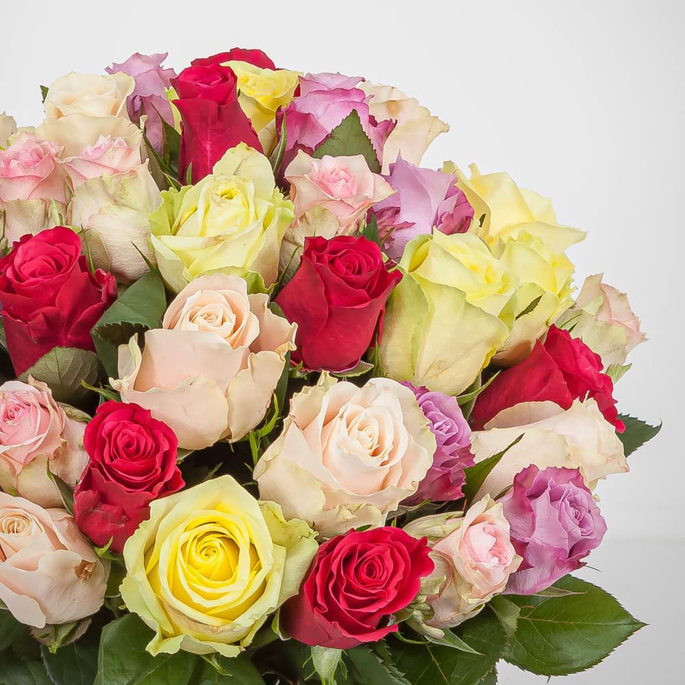 Mix Tinted Roses Mix Colour Roses – P&S FLORIST
